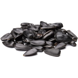 Sunflower seeds PNG-42945